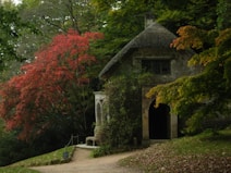 A quaint stone cottage nestled in a lush forest setting, surrounded by vibrant autumn foliage with shades of red, orange, and green. A dirt path leads to the open doorway of the cottage, which appears rustic and inviting. The scene is serene, evoking a sense of tranquility and seclusion.