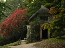 A quaint stone cottage nestled in a lush forest setting, surrounded by vibrant autumn foliage with shades of red, orange, and green. A dirt path leads to the open doorway of the cottage, which appears rustic and inviting. The scene is serene, evoking a sense of tranquility and seclusion.