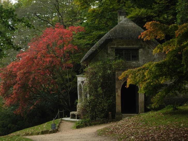 A quaint stone cottage nestled in a lush forest setting, surrounded by vibrant autumn foliage with shades of red, orange, and green. A dirt path leads to the open doorway of the cottage, which appears rustic and inviting. The scene is serene, evoking a sense of tranquility and seclusion.