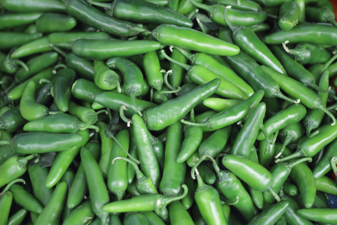 macro photography of green chilis,