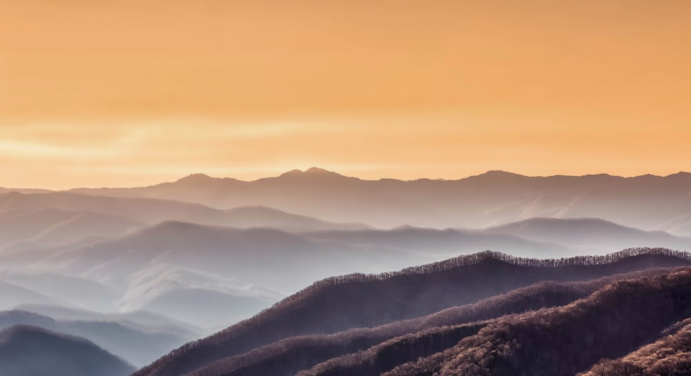 ゴールデンアワーの山々の風景写真