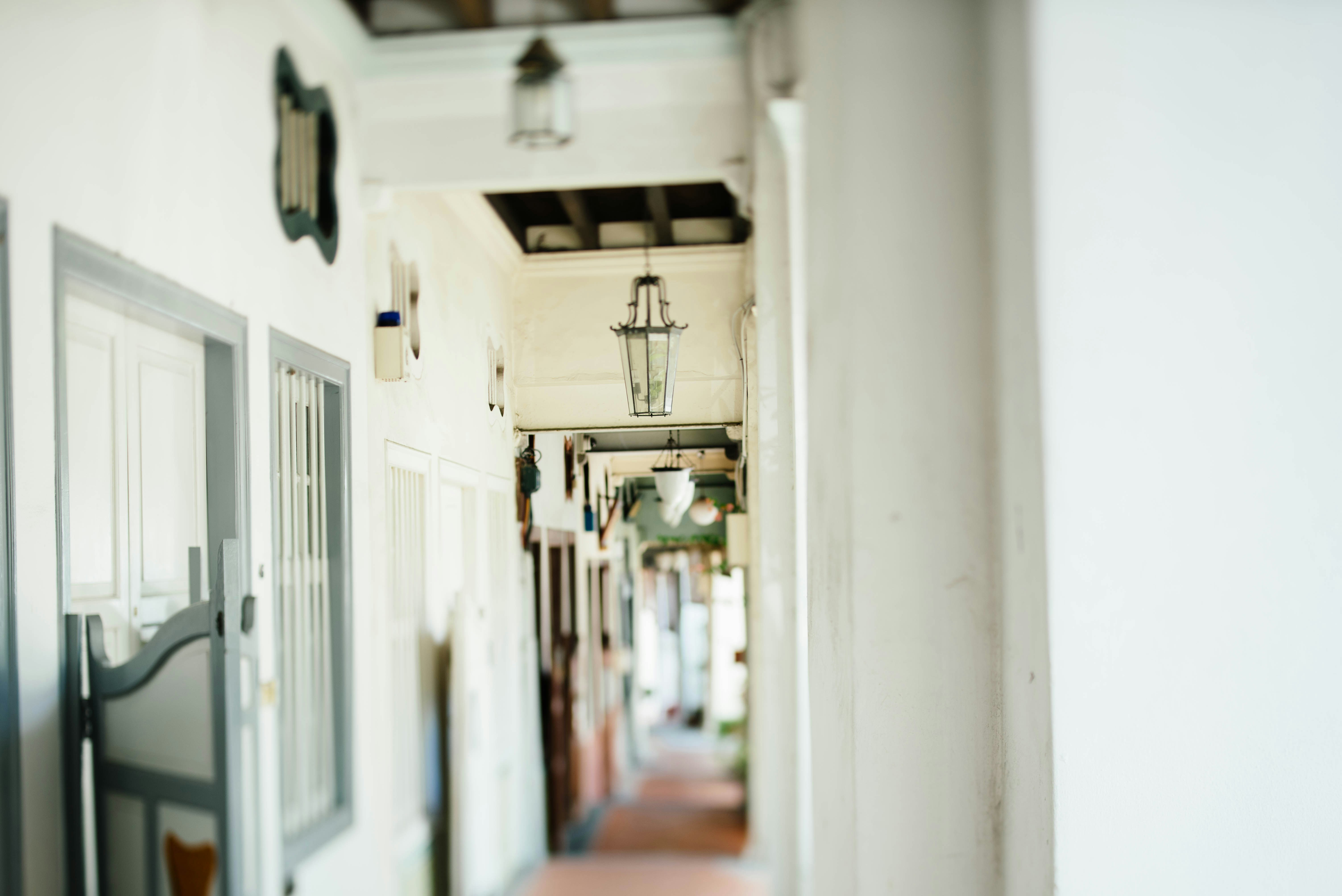 Photo by chuttersnap