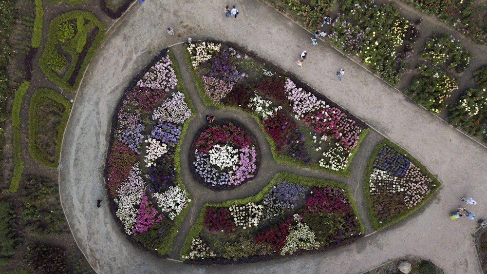 bird's eye view photography of flower field