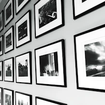 An elegant gallery wall displaying framed digital prints of animals and urban architecture.