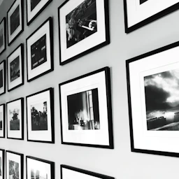An elegant gallery wall displaying framed digital prints of animals and urban architecture.