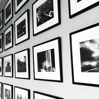An elegant gallery wall displaying framed digital prints of animals and urban architecture.