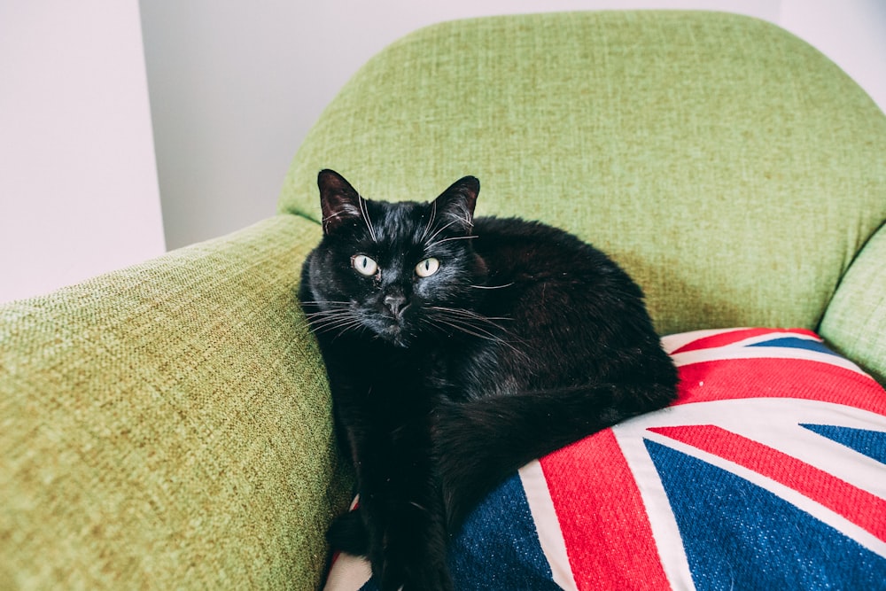 black cat sitting on Union Jack throw pillow on green armchair