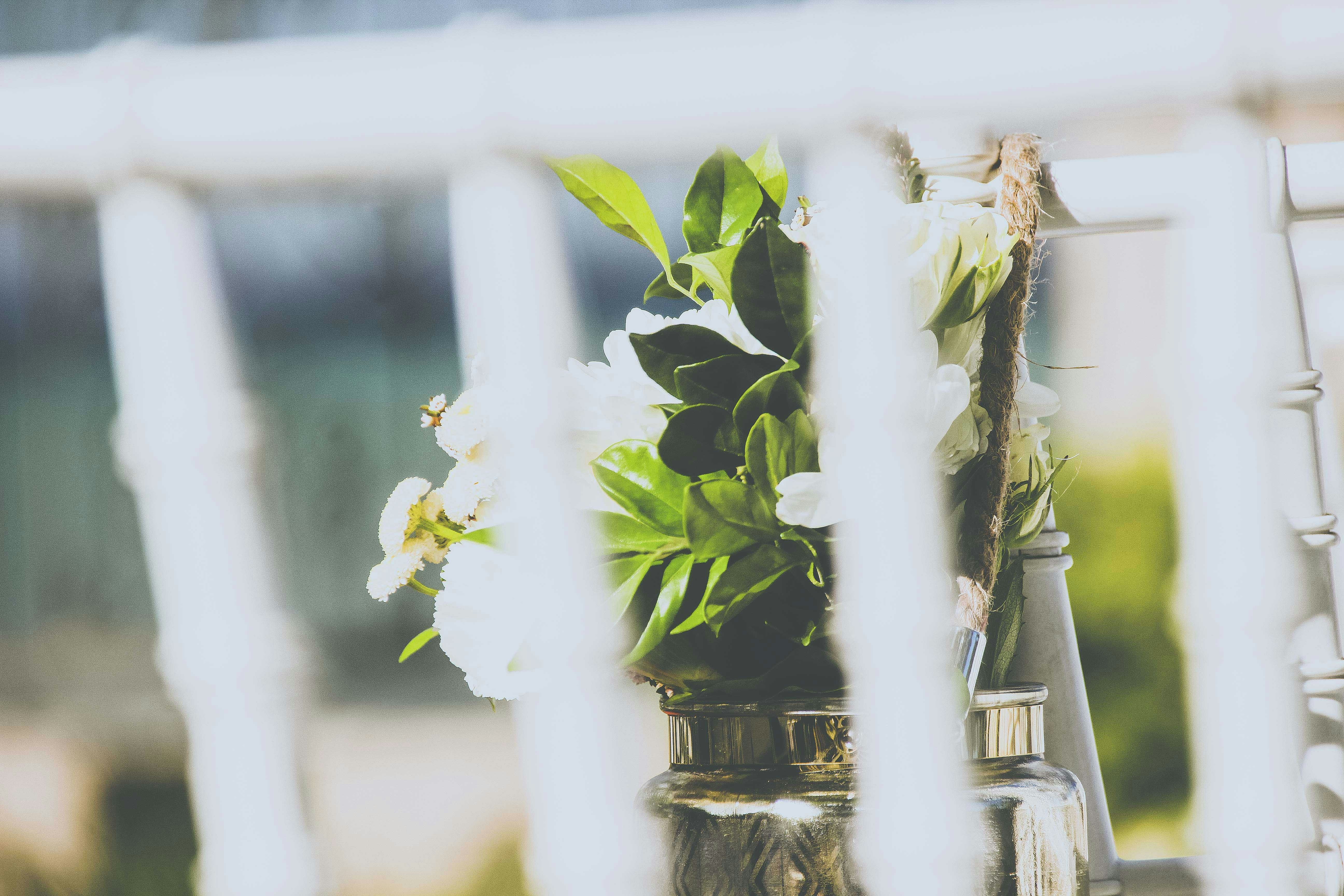 Nourishing Beauty Lotion