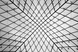 Close-up digital illustration of intricate geometric patterns in monochrome.