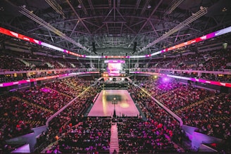 A vibrant basketball court under bright lights with fans cheering in the stands.