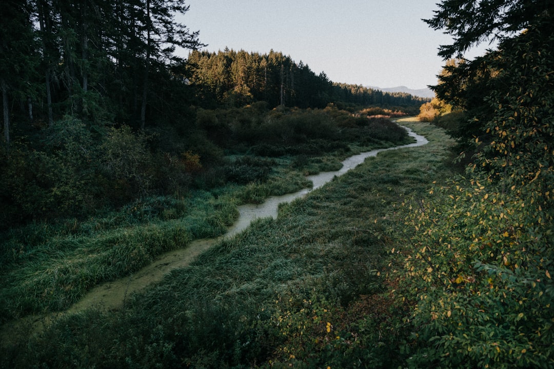 Nature reserve photo spot Crofton Galiano Island