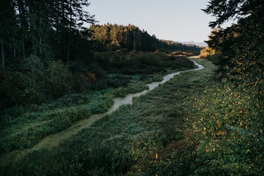 photo of Crofton Nature reserve near Newcastle Island