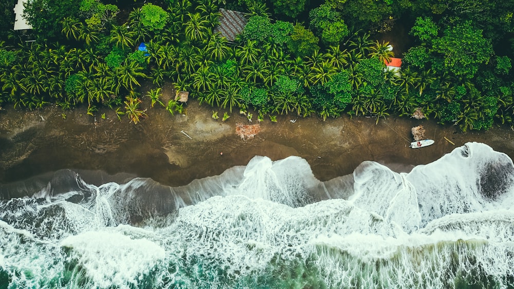 river raging near tree