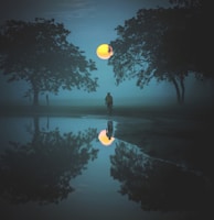 person standing and looking at moon