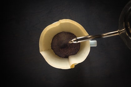 ¿Qué es la fermentación del café? Guía completa de los procesos