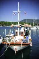 A small, colorful fishing boat is docked at a marina, flying a Greek flag. The boat is equipped with various fishing gear, ropes, and barrels on its deck. Life rings are attached to the sides, and there are several other boats in the background against a backdrop of green trees and a mountain.