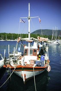 A small, colorful fishing boat is docked at a marina, flying a Greek flag. The boat is equipped with various fishing gear, ropes, and barrels on its deck. Life rings are attached to the sides, and there are several other boats in the background against a backdrop of green trees and a mountain.