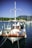 A small, colorful fishing boat is docked at a marina, flying a Greek flag. The boat is equipped with various fishing gear, ropes, and barrels on its deck. Life rings are attached to the sides, and there are several other boats in the background against a backdrop of green trees and a mountain.