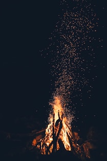 bonfire