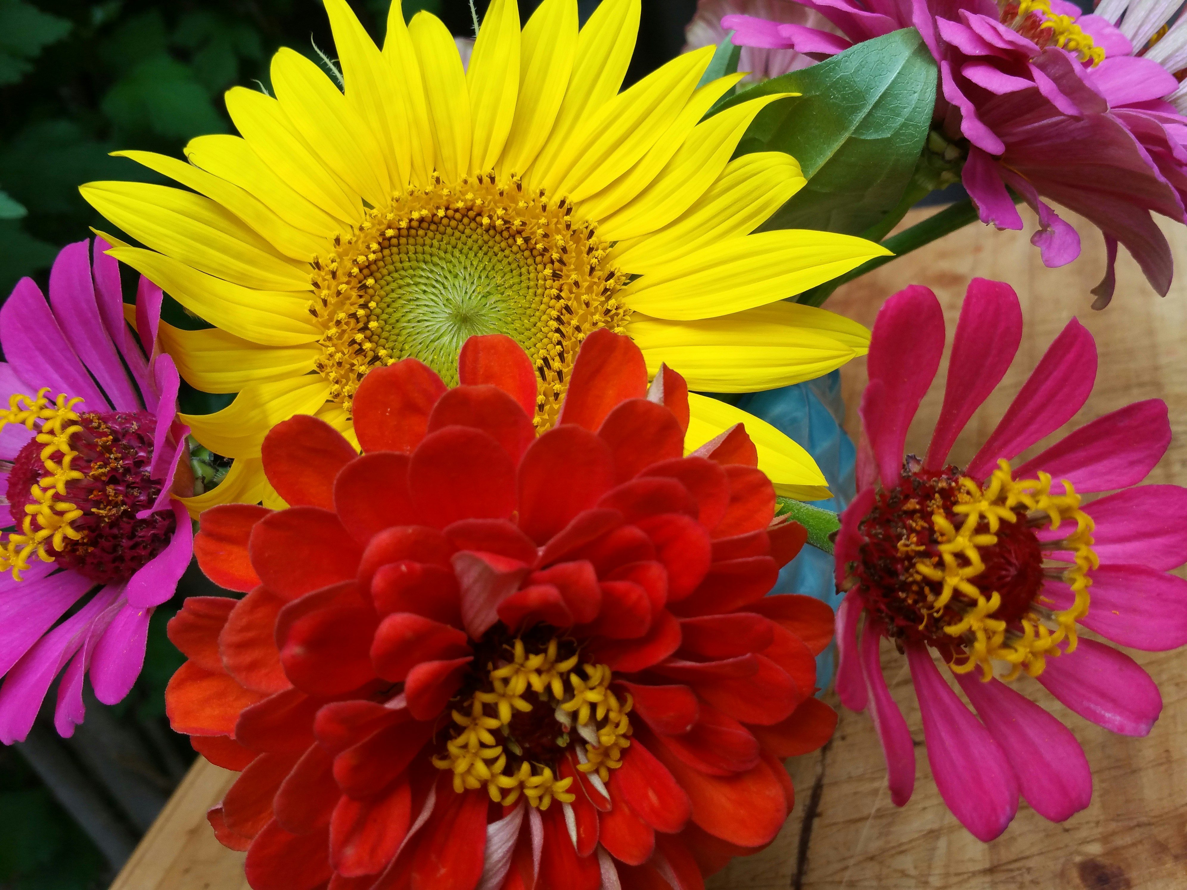Vibrant sunflower bouquet with golden petals in warm afternoon light, rustic wooden background