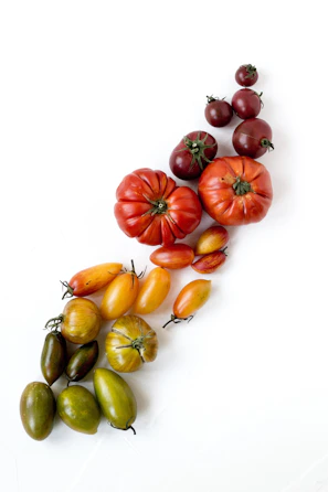 A colorful display of tomatoes in various shapes and sizes on a clean white background.