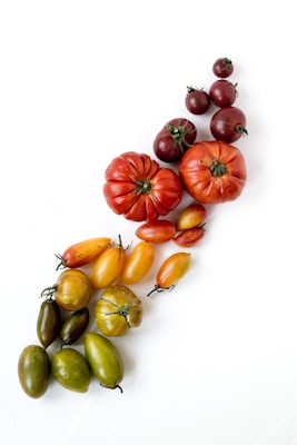 An assortment of colorful tomatoes, arranged in a flowing pattern on a white background. The tomatoes vary in size and shape, with colors ranging from deep red and burgundy to orange, yellow, and green.