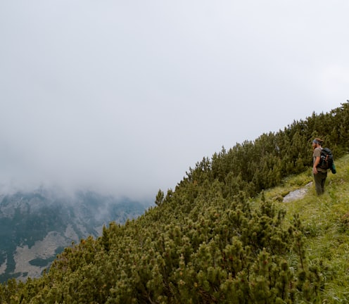 person standing on top of mountain