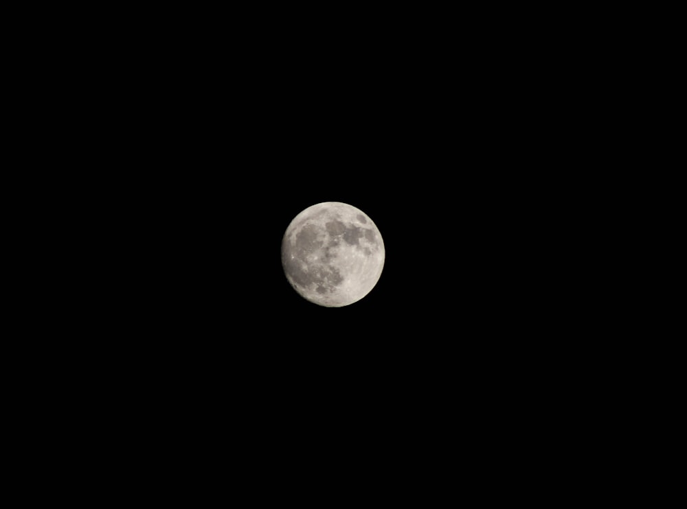 photo of full moon against black background photo – Free Night Image on  Unsplash