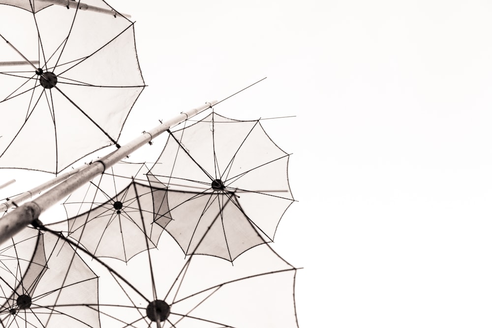 parapluies se dessinent sous le ciel blanc pendant la journée