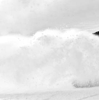 grayscale photography of person skiing