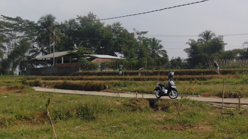 A rural landscape featuring a small road cutting through green fields with someone riding a scooter. In the background, there are a few people working in the fields, and a small building is partially visible, surrounded by various trees including palm trees.