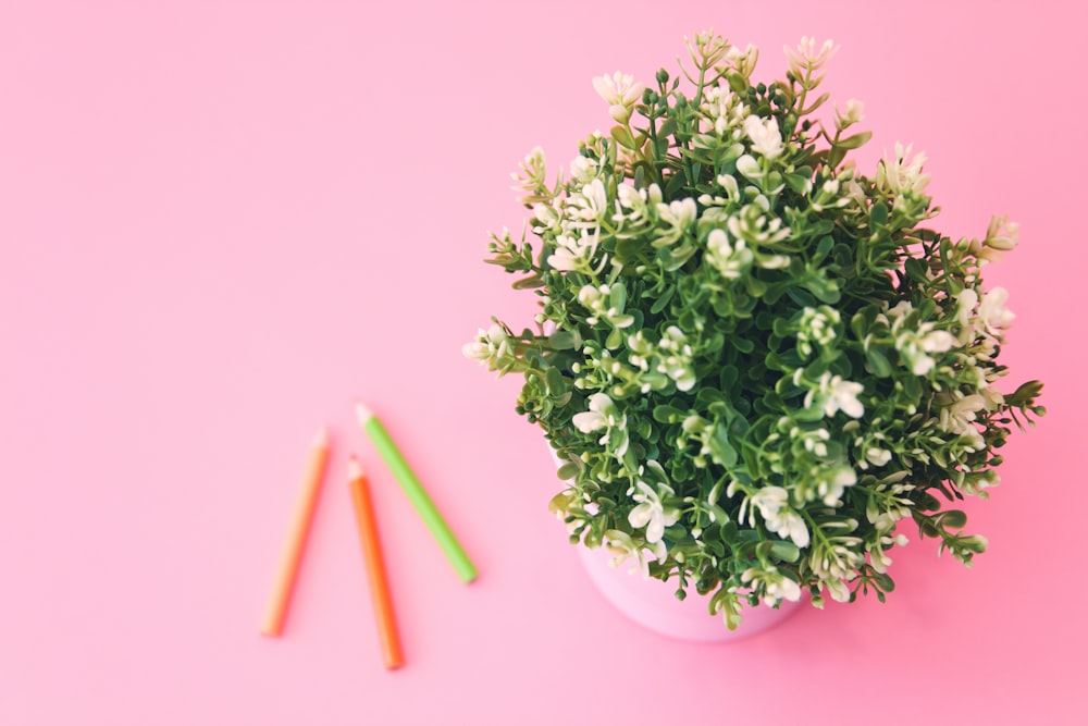 green plants