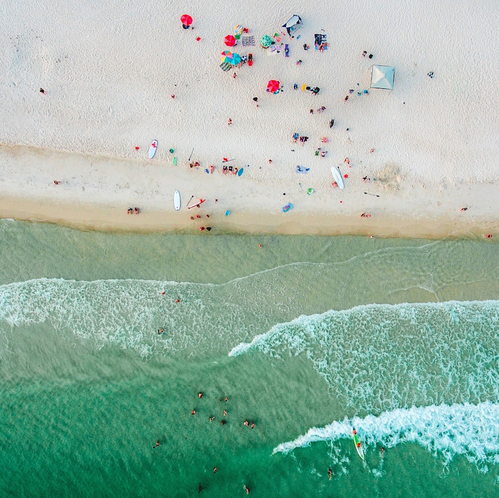 Foto aérea de personas en la orilla del mar y en el mar durante el día