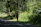 A person is running along a shaded path surrounded by dense, lush green foliage and trees. The sunlight filters through the canopy, casting dappled shadows on the ground. The runner is wearing athletic gear, including a hat and brightly colored socks.