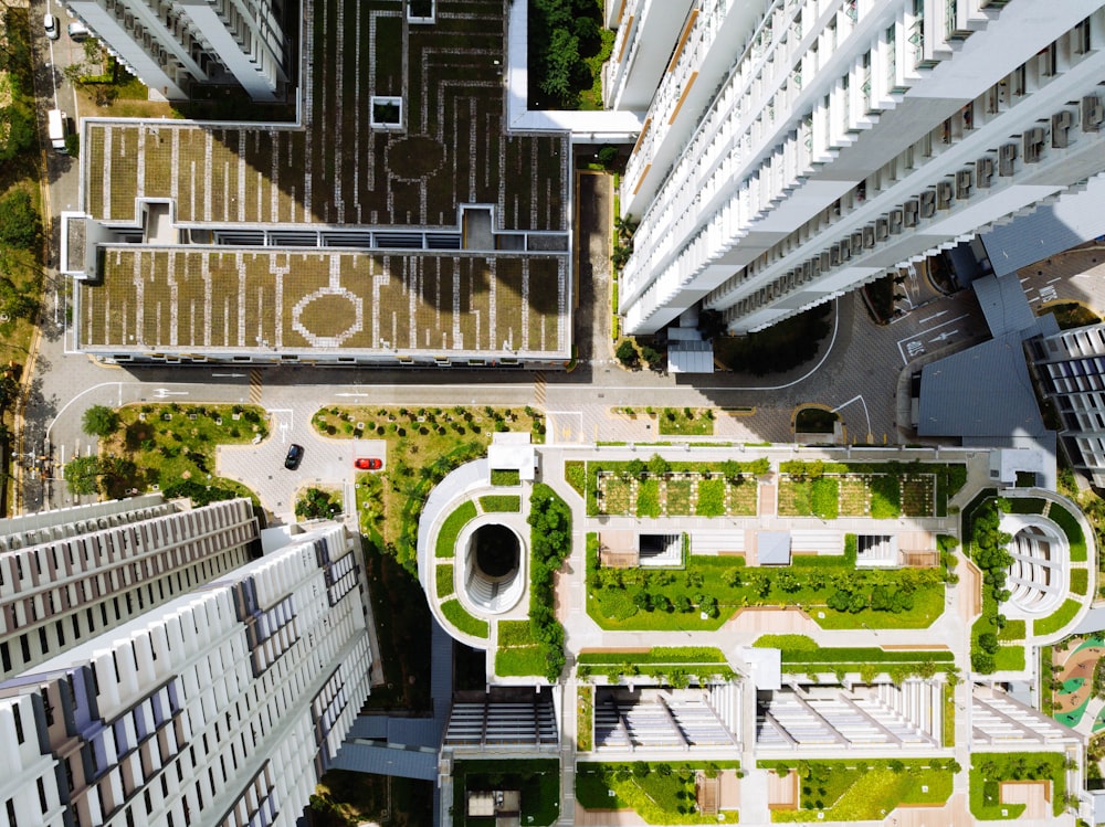 Fotografía a vista de pájaro de edificios blancos