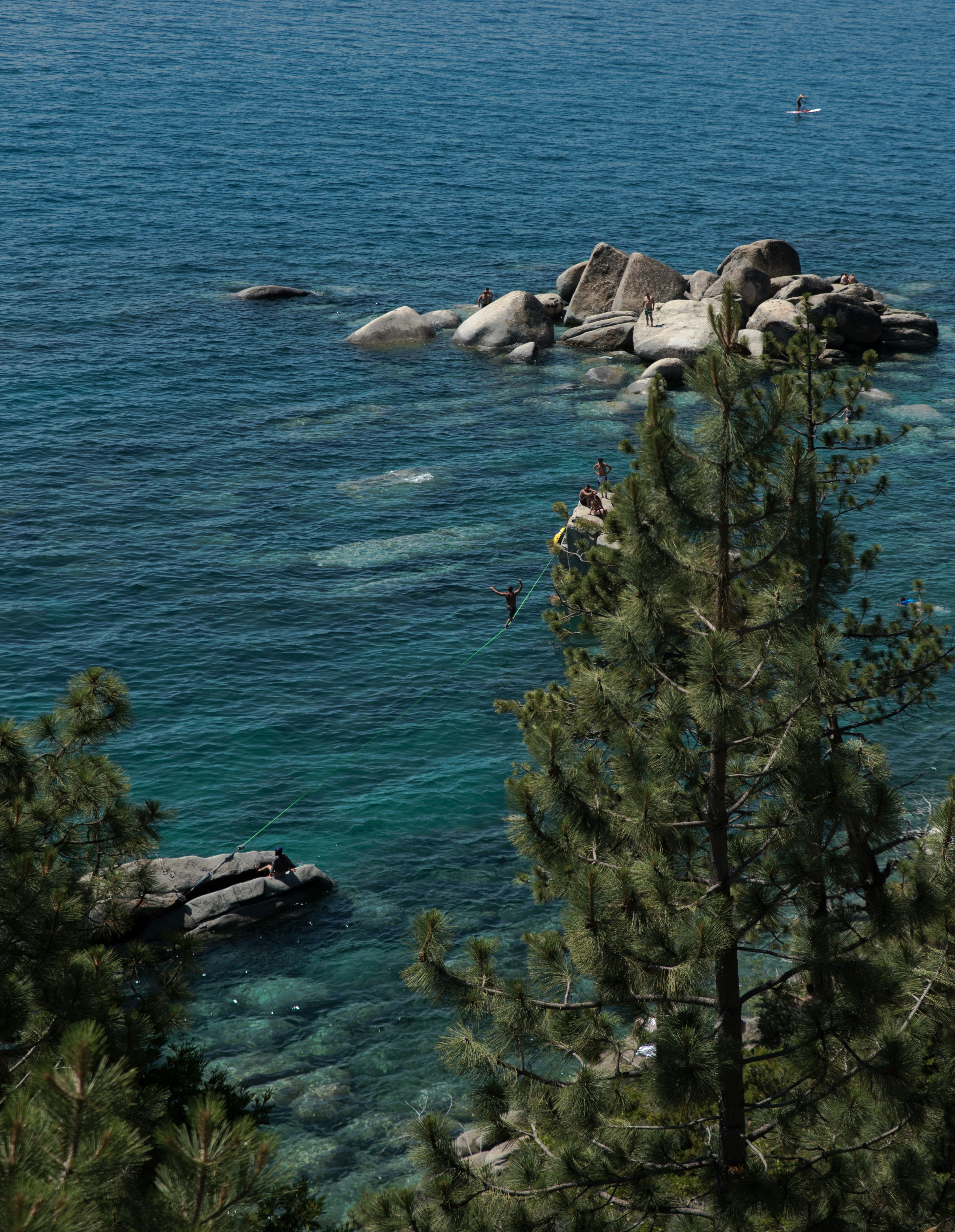 Photo by mischievous_penguins