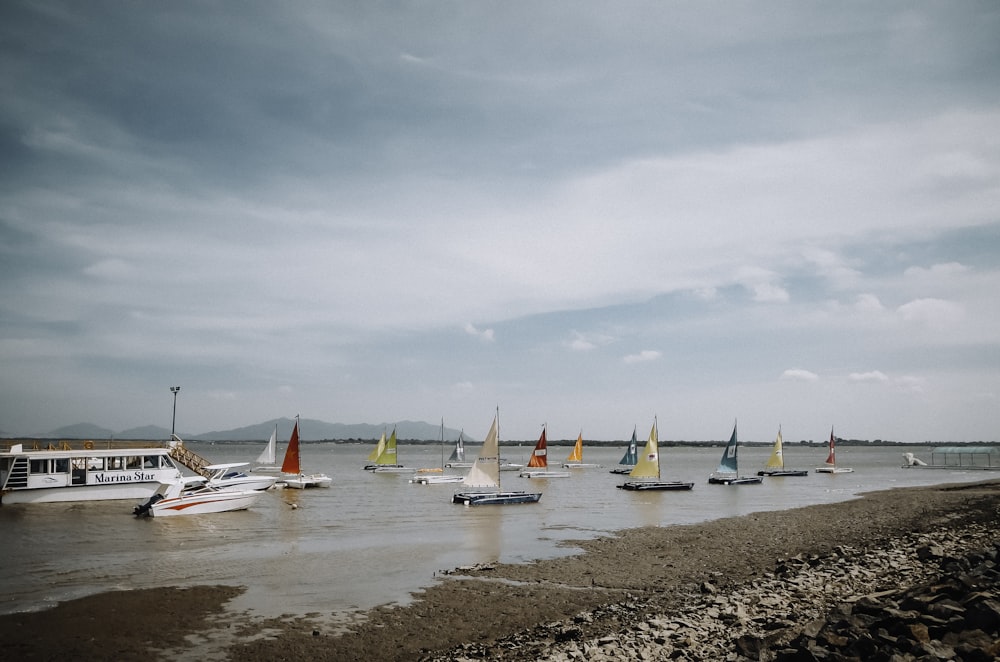 mazzo di barche a vela