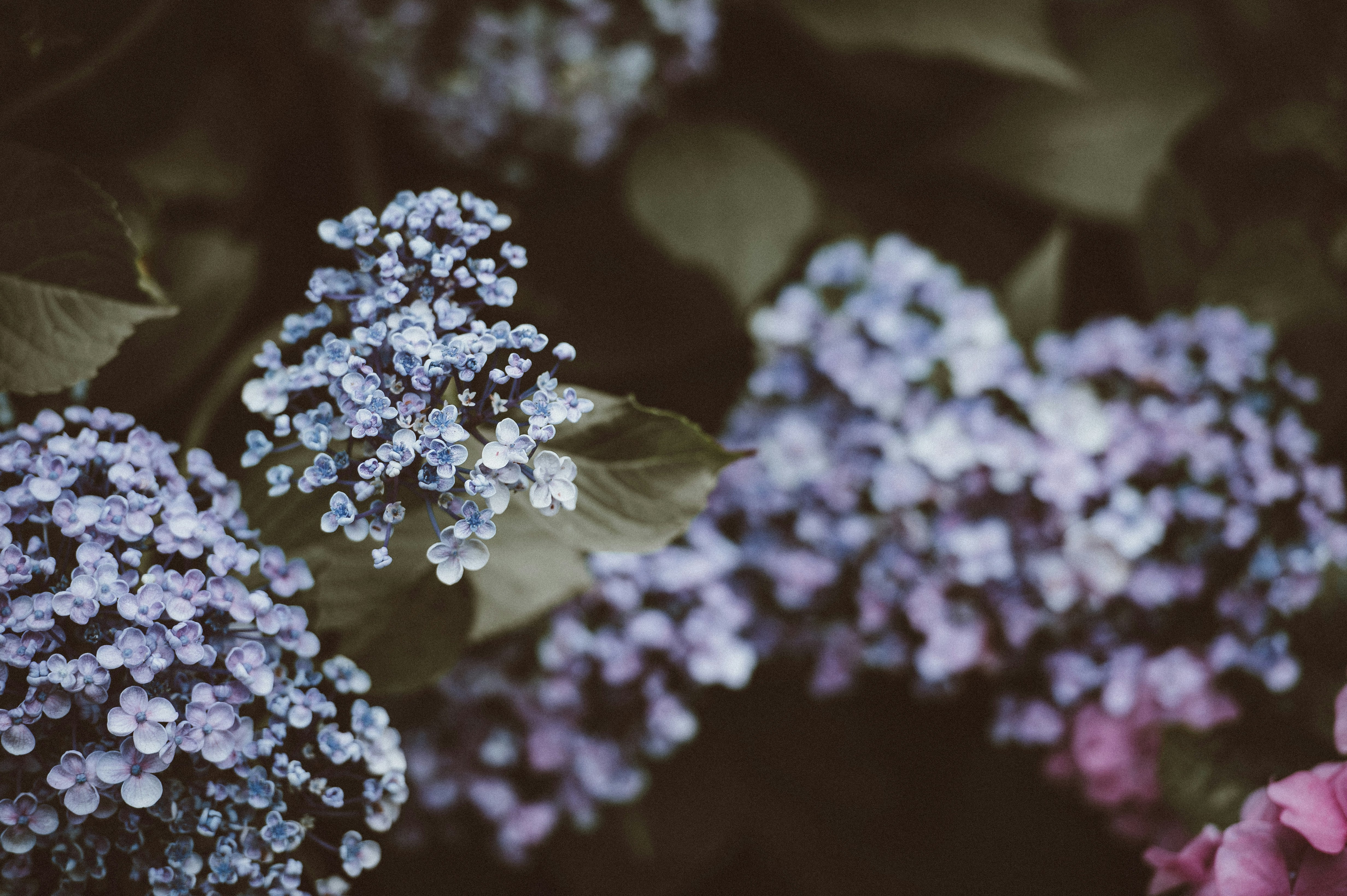 Photo by anniespratt