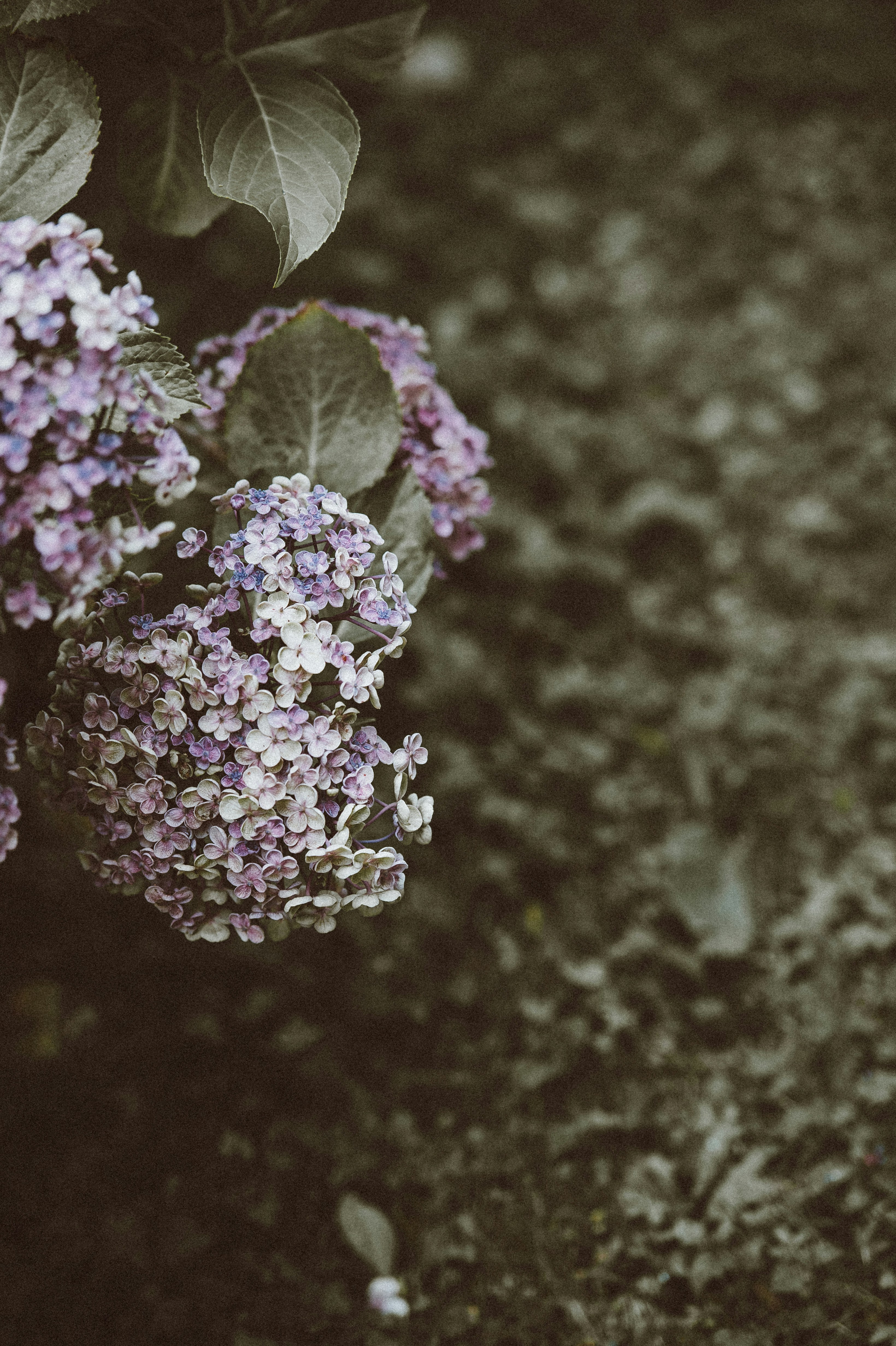 Photo by anniespratt