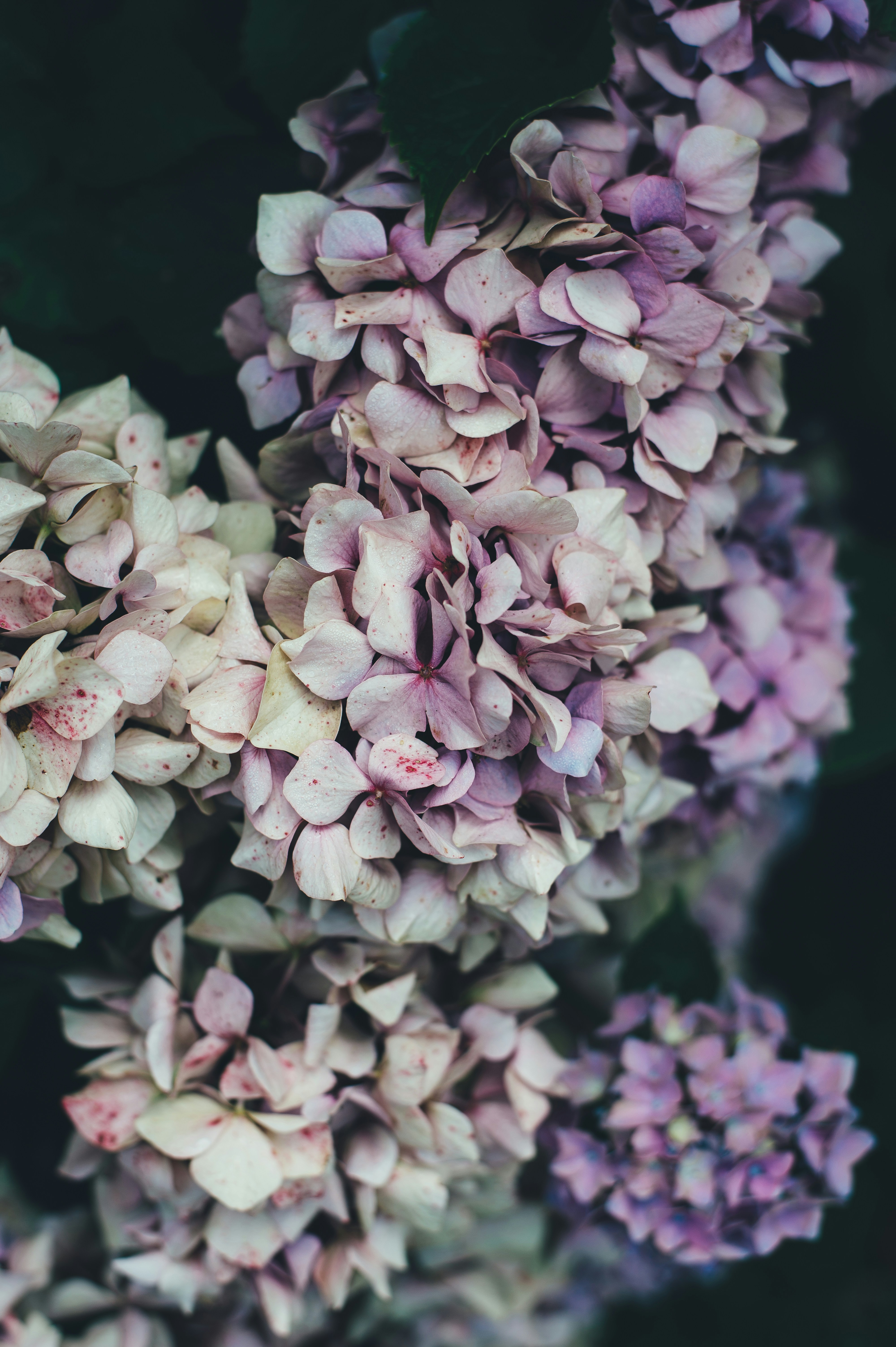 Photo by anniespratt