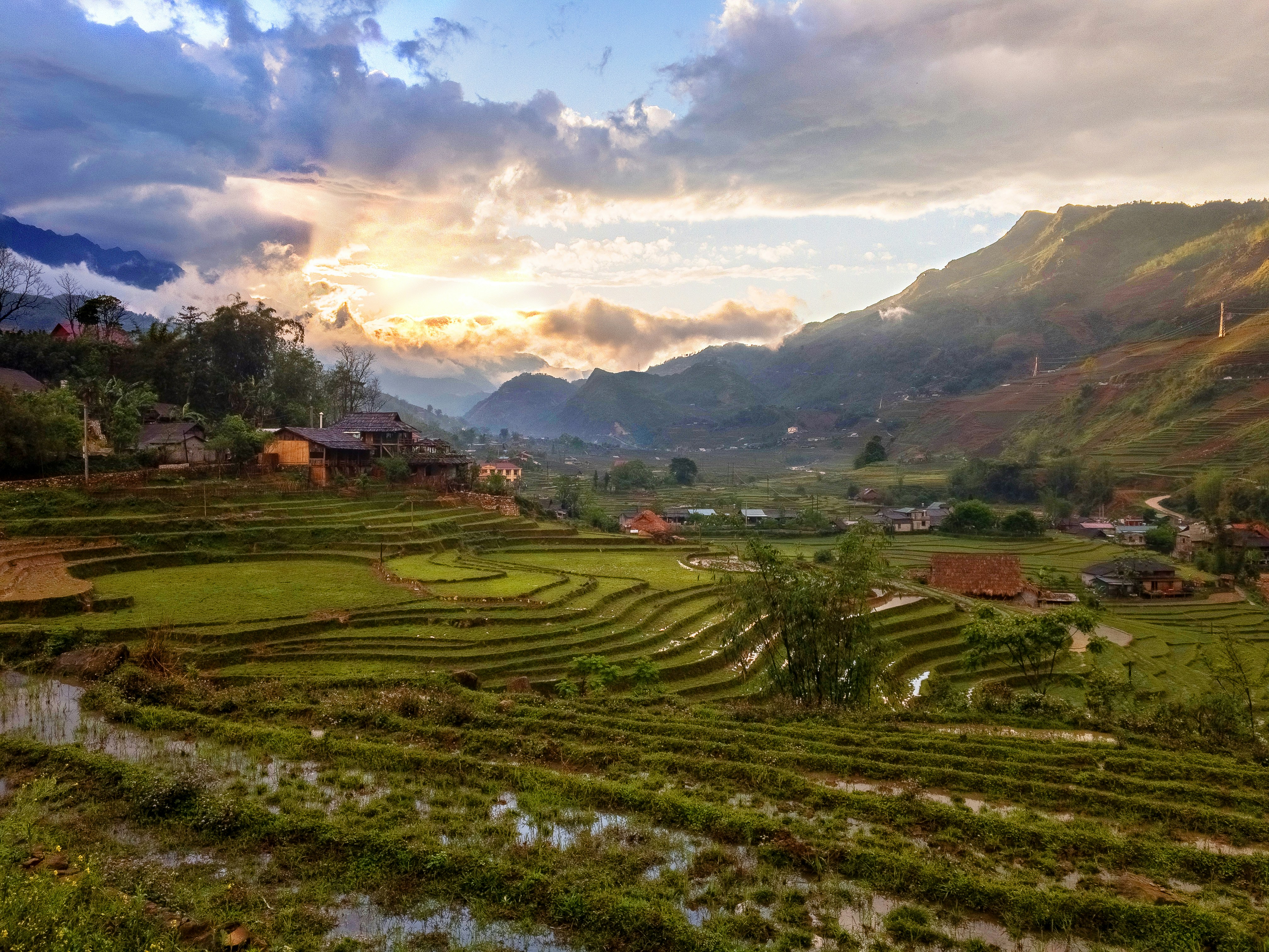 Paesaggio di risaie a terrazze di Bali con vegetazione verde e tramonto arancione