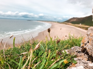 A panoramic view of a remote beach accessible only by a narrow hiking trail, with wildflowers in the foreground.