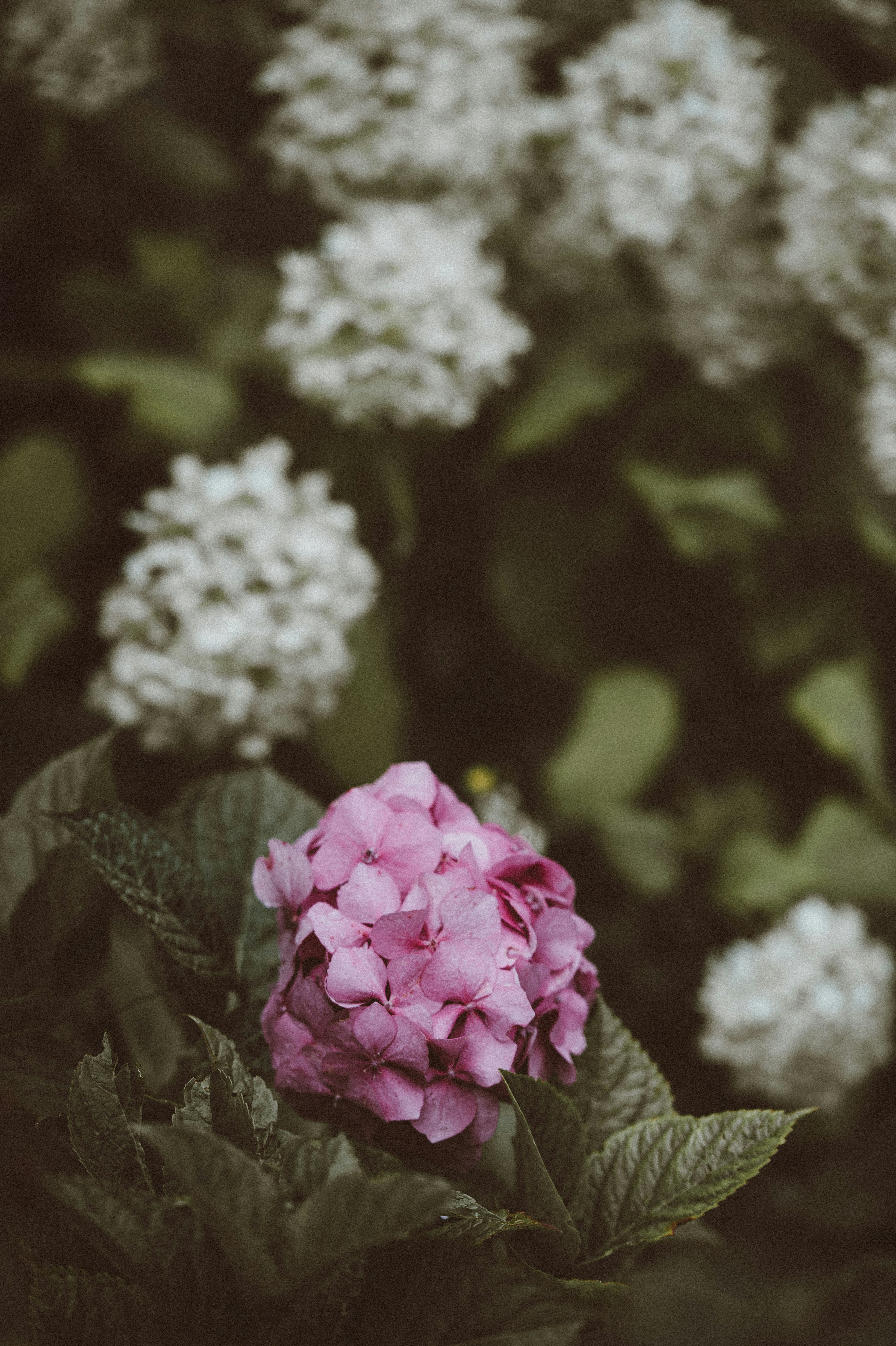 Photo by anniespratt