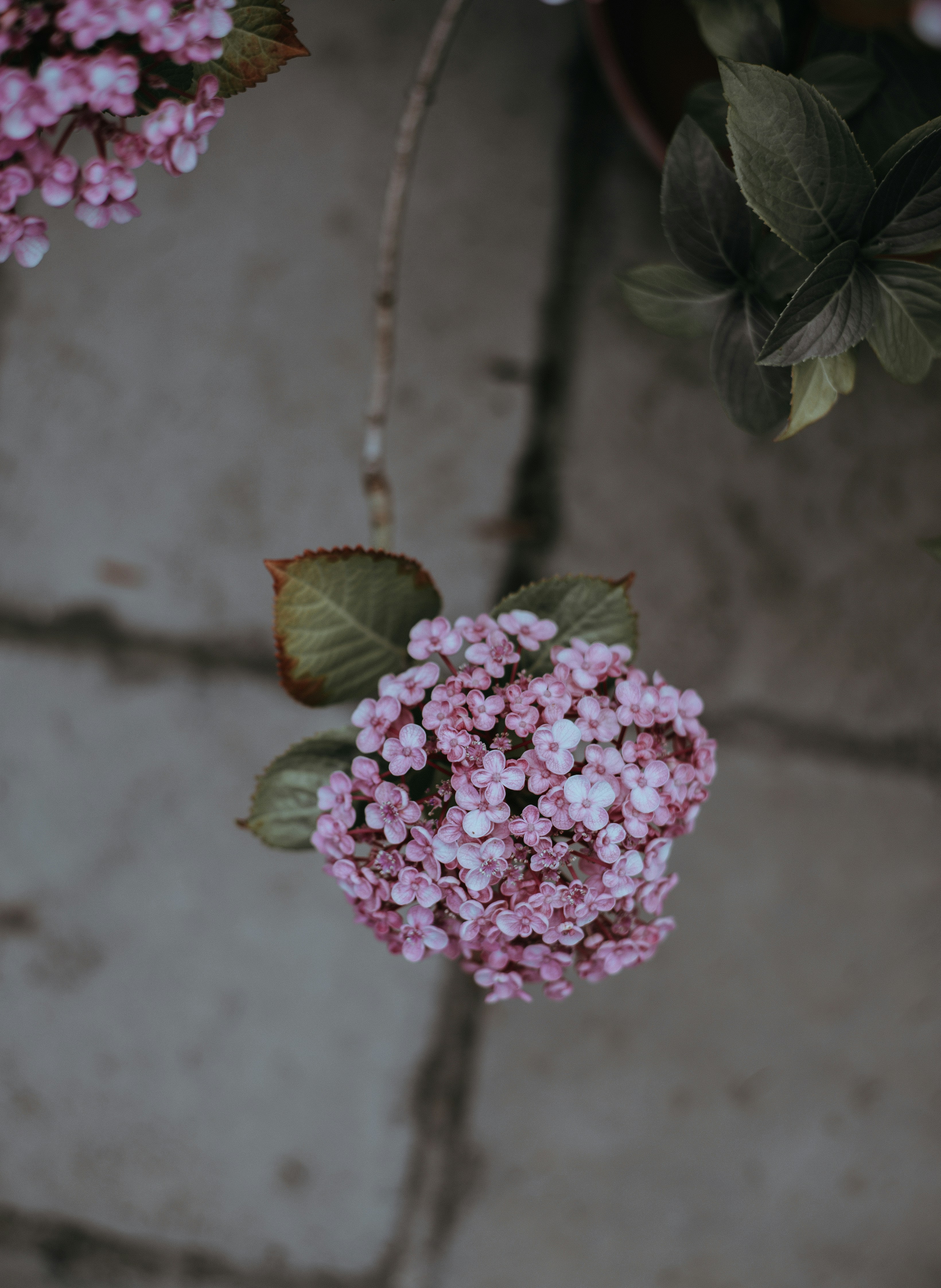 Photo by anniespratt
