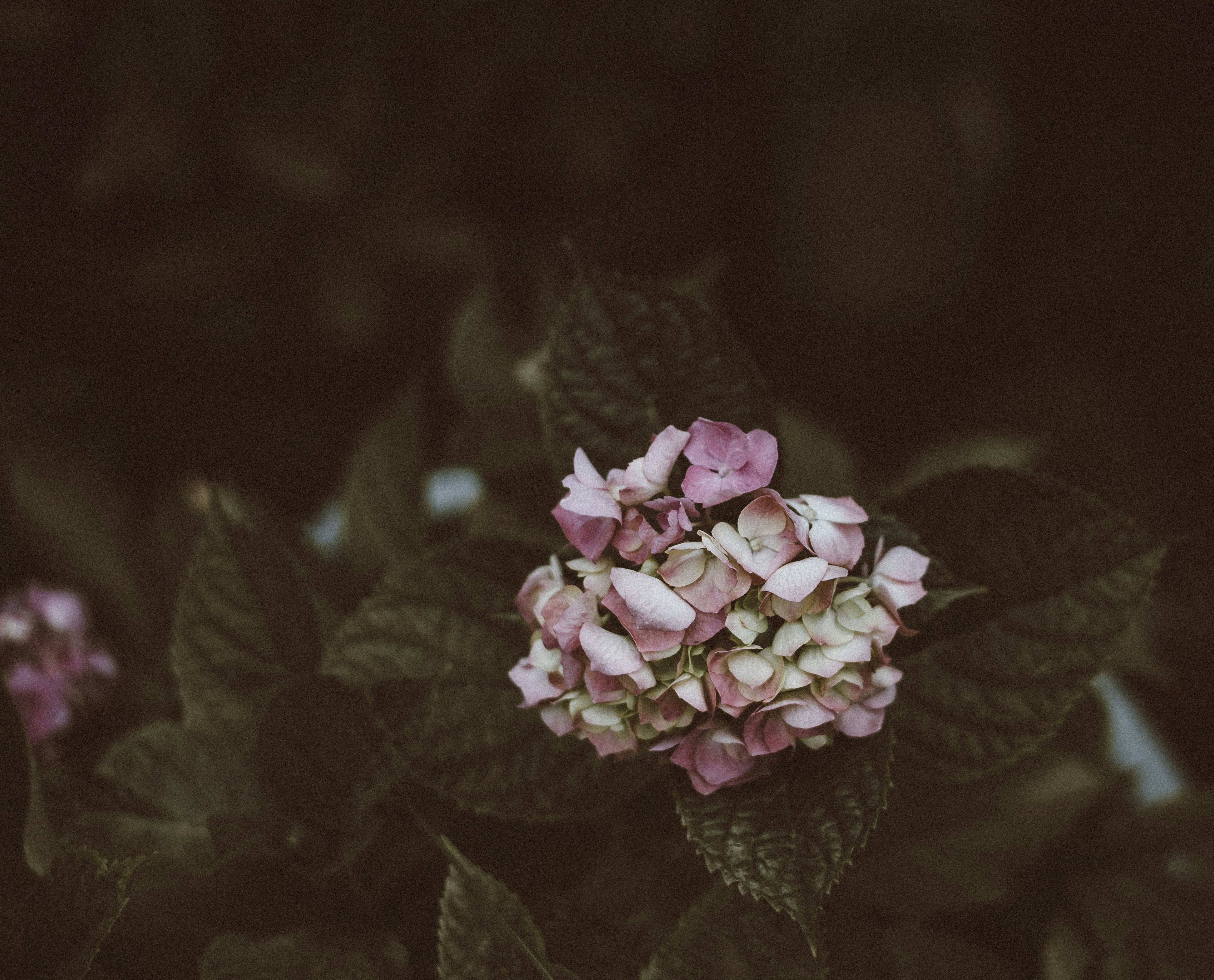 Photo by anniespratt