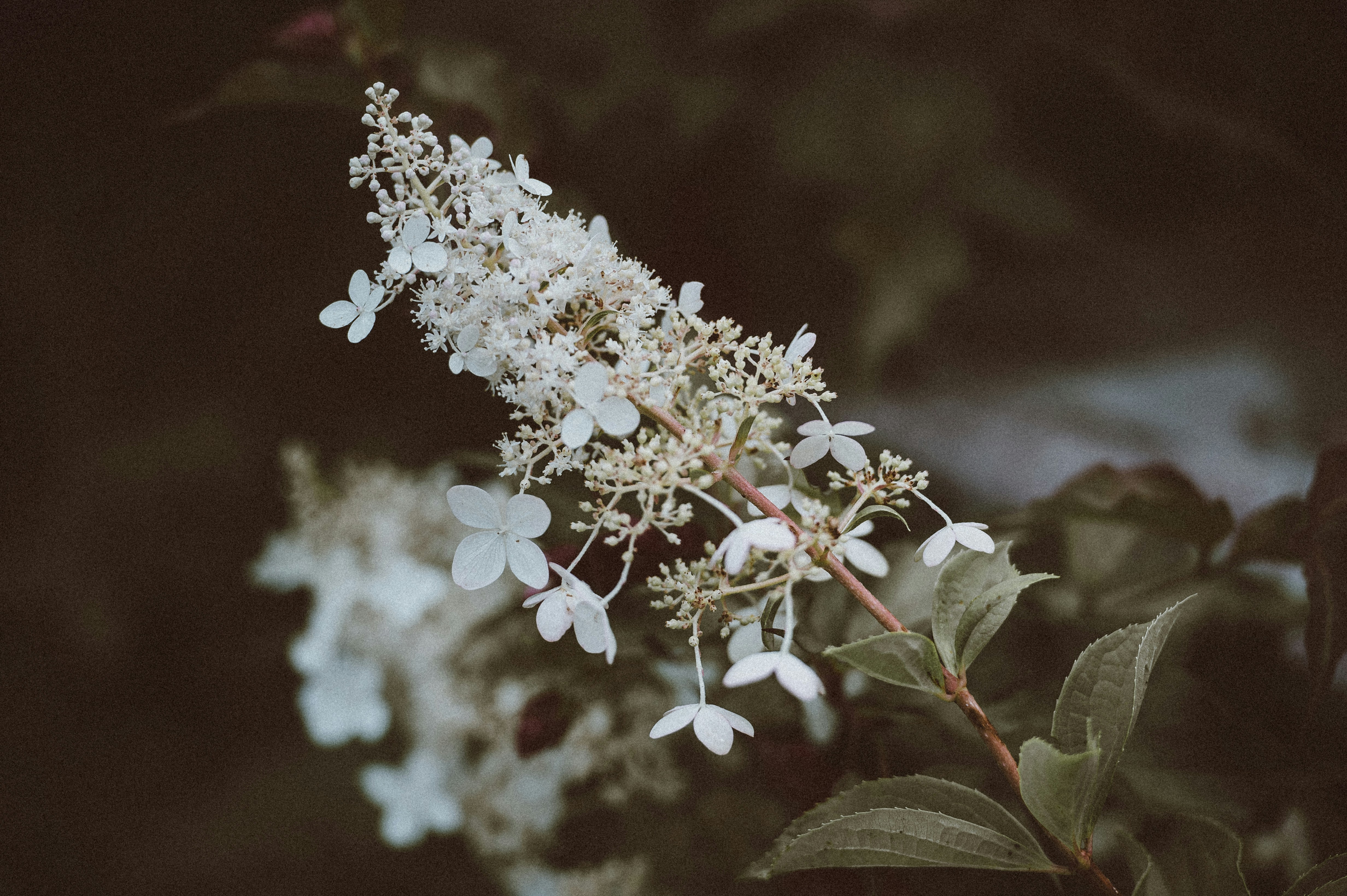 Photo by anniespratt