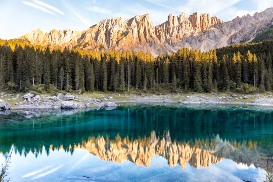 body of water near pine trees in Karersee Italy