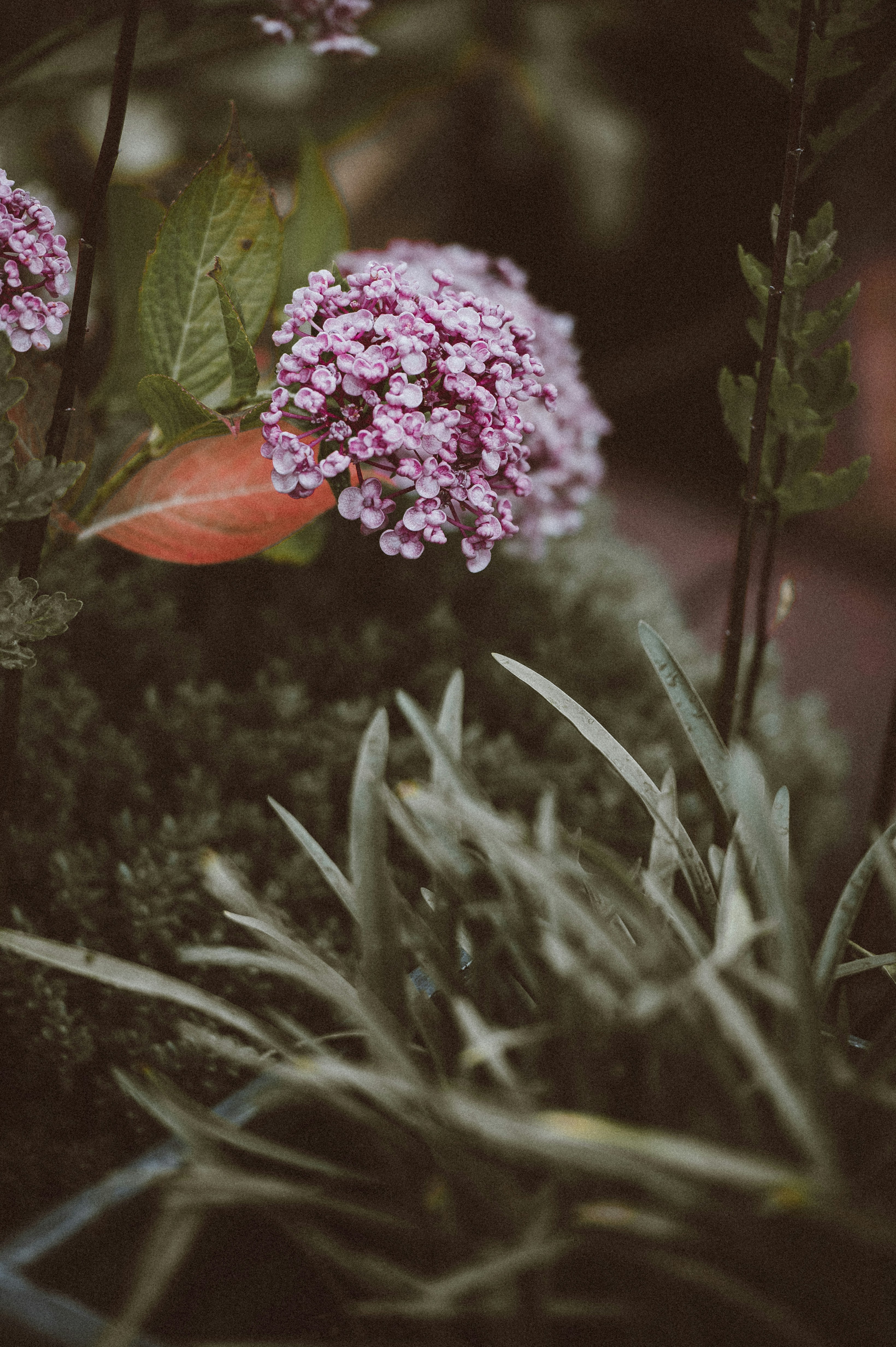 Photo by anniespratt