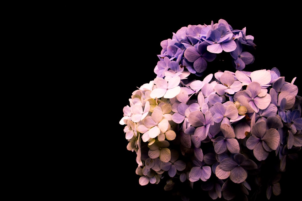 purple and pink flower buoquet