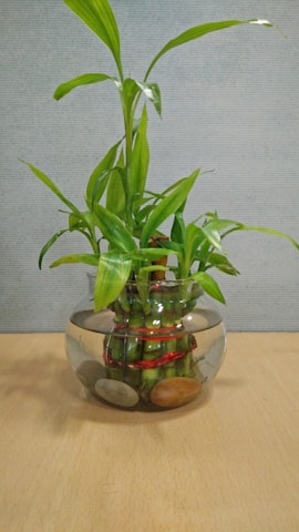 A vibrant display of colorful bamboo home decor pieces arranged on a rustic wooden table.